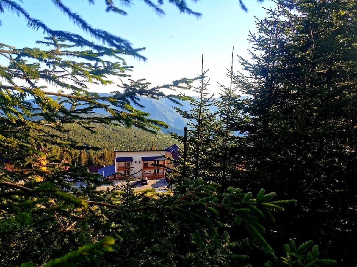 Complex Veverita Ranca Εξωτερικό φωτογραφία